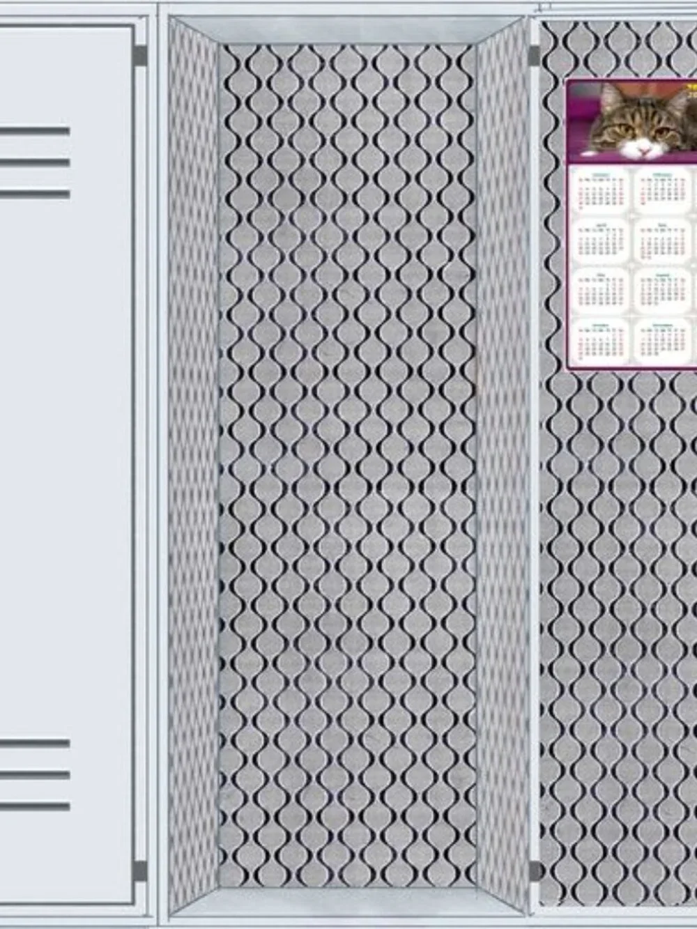 2027 Magnetic Calendar - Today is my Lucky Day - Cat Themed 022 (7 x 10.5)